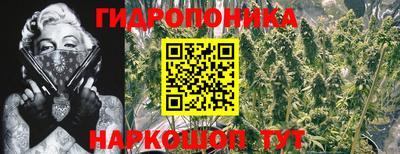 ALPHA-PVP Бийск