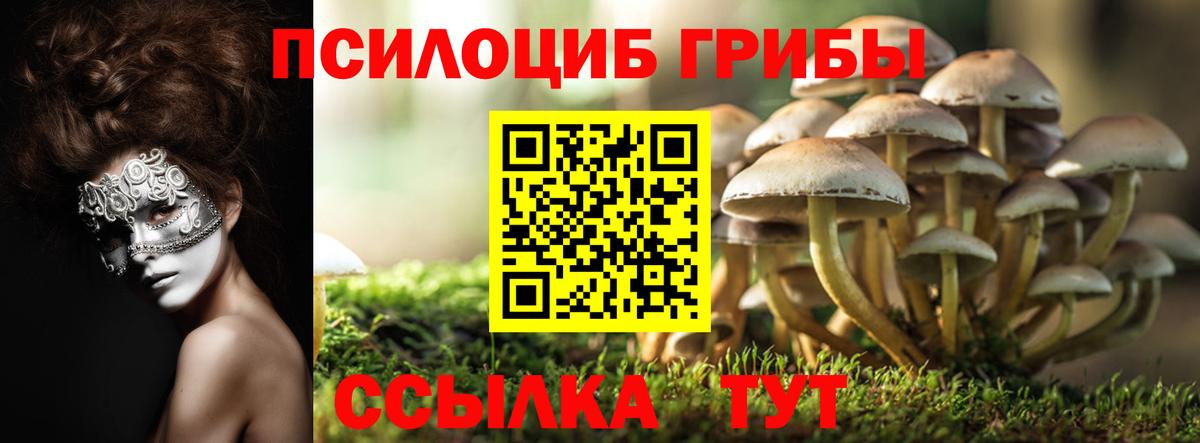 Псилоцибиновые грибы MAGIC MUSHROOMS Казань